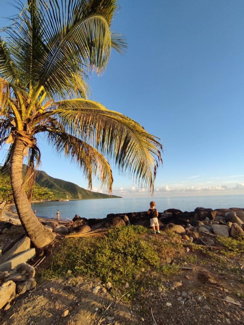 Kaz A Soley - Gite Vue Panoramique Sur La Mer - Plage A 500M Gourbeyre Екстер'єр фото